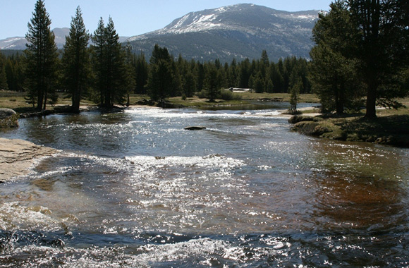 Toulumne River, Yosemite National Park