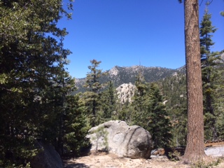 On the slopes of Mt. San Jacinto near Idyllwild.